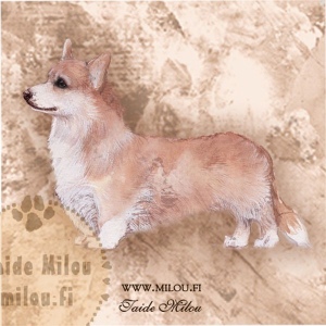 1_corgipumitri_M-copy