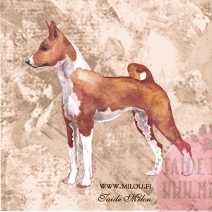 Basenji_ruskea_M
