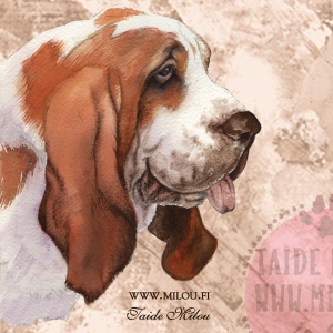 Basset_ru_M