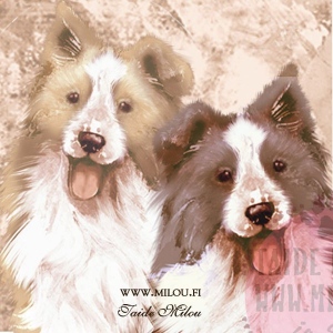 Bordercollie_ruskea_M
