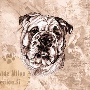 Bulldoggi_PM