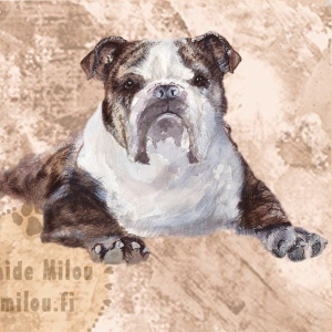 Bulldoggiru2_M