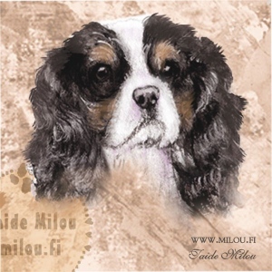 Cavalier_trit_M