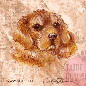 Cavalierkingcharlesinspanieli__M