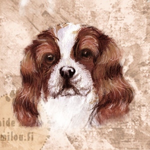 Cavalierkingcharlesinspanieli_bleinheim_M