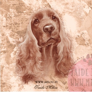 Cockerspanieli_punainen_M