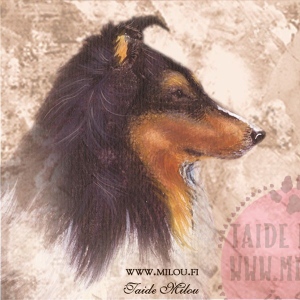 Collie_trik_M