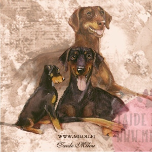 Dobermann_perhe_M