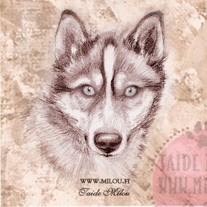 Huskyhead_KK_M