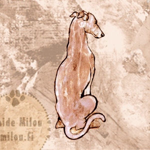 Italianvinttikoira2_M