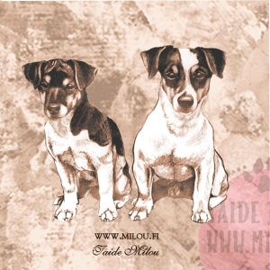 Jackrussel3