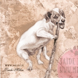 Jackrussellinterrieri_pentu_PM