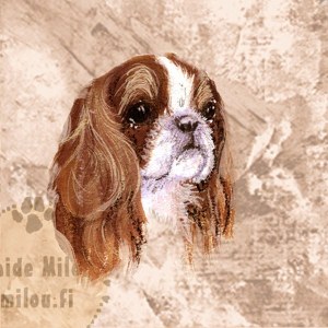 Kingcharlesinspanieli_blenheim_M