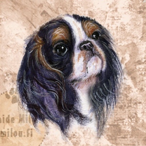 Kingcharlesinspanieli_trickoulor_M