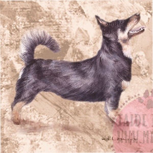 Lancasterheeler1_M