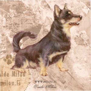 Lancasterheeler3_M