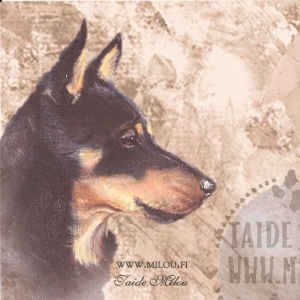 Lancasterheeler_paa_M