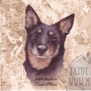 Lancasterheeler_paa_e_M