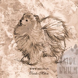 Pomeranian1_PM