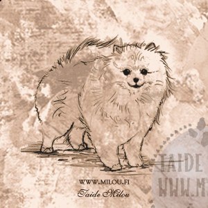 Pomeranian2_PM