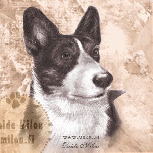 Welshcorgi_gardigan_M