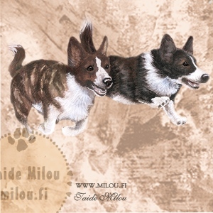 Welsh-corgi-gardigan_M