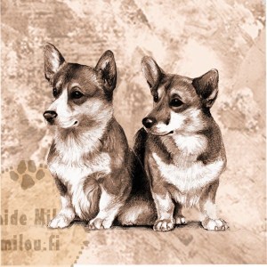 Welshcorgi_pembroke_PM