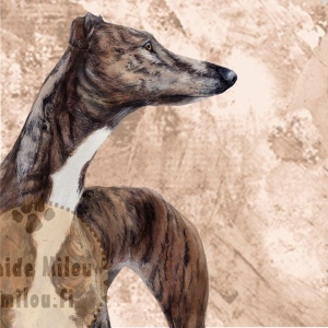 englanninvinttikoira_brindle