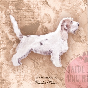 grand-basset-griffon-vendeen_M