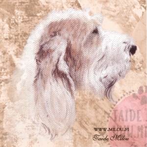 grand-basset-griffon-vendeen_paa_M