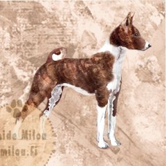 Basenji_brindle_M