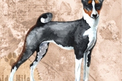 Basenji_trikki