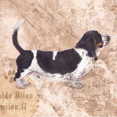 Basset2_Mu_M