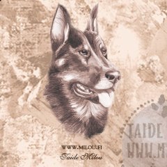 Beauceron_PM