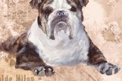 Bulldoggiru2_M