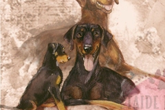 Dobermann_perhe_M