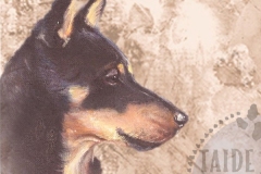 Lancasterheeler_paa_M