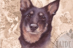 Lancasterheeler_paa_e_M