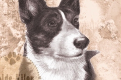 Welshcorgi_gardigan_M