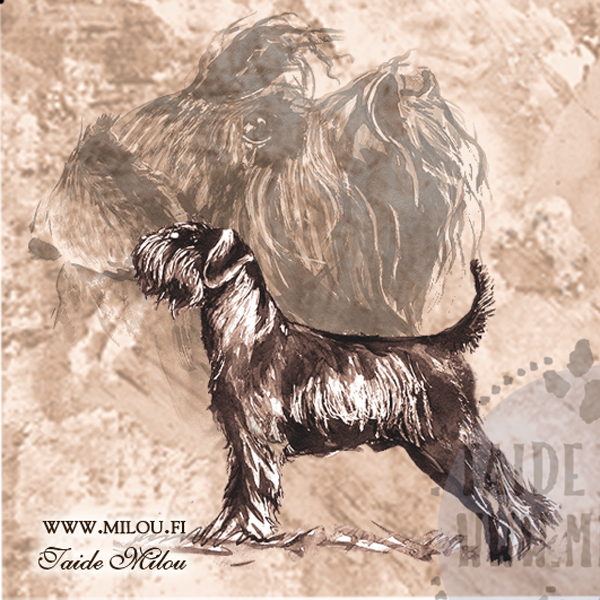 Kello snautseri - Image 11