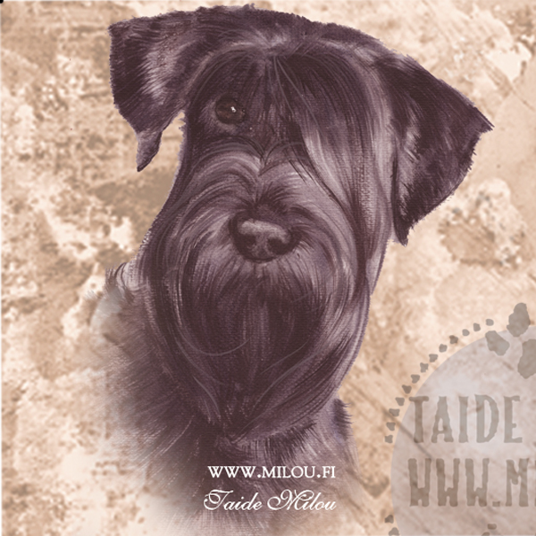 Kello snautseri - Image 12