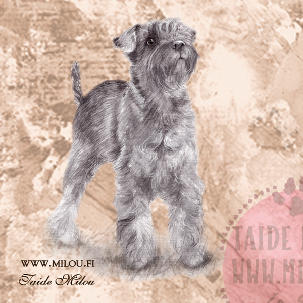 Kello snautseri - Image 8