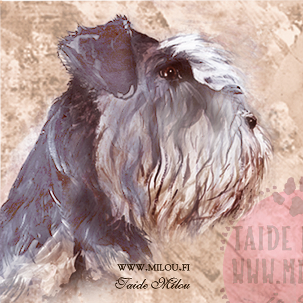 Kello snautseri - Image 9