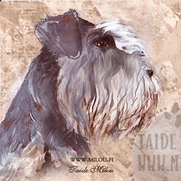 Kello snautseri - Image 14