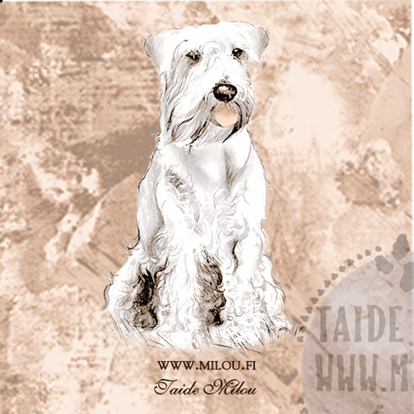 Kello snautseri - Image 15