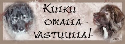 Ovikyltti omilla kuvilla - Image 14