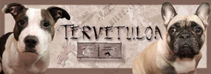 Ovikyltti omilla kuvilla