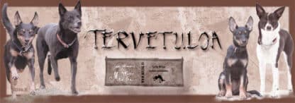Ovikyltti omilla kuvilla - Image 7