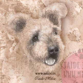 Pumi
