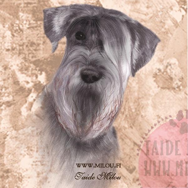 Kello snautseri - Image 10